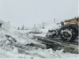 永利集团·yl8cc(中国游)官方网站