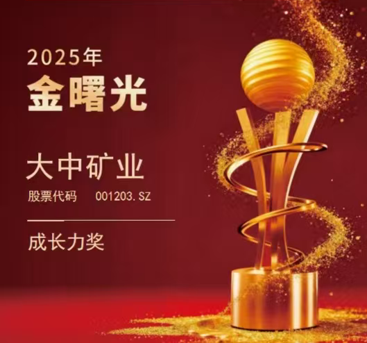 喜报|永利集团矿业荣获“2025年金曙光成长力奖”！